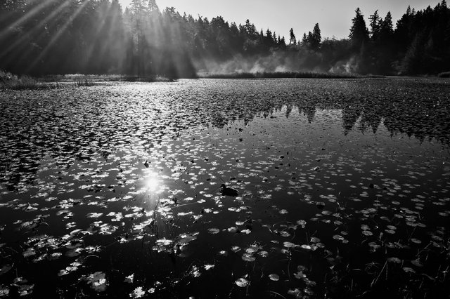 Beaver lake01.jpg
