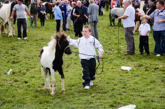 Horse Market, Puck Fair, Killorglin