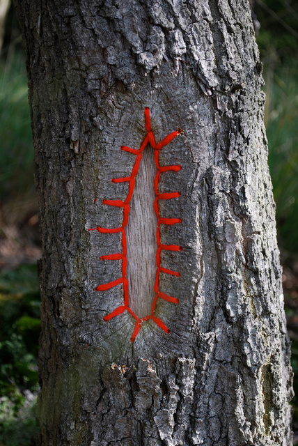 Tree restorations