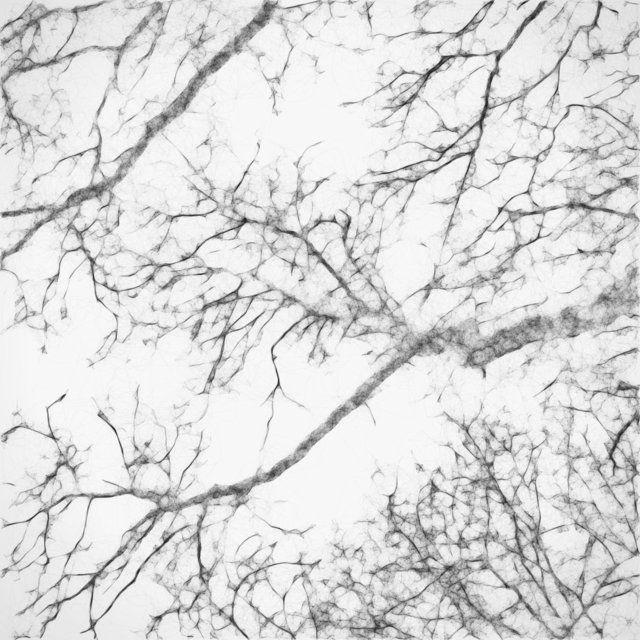 Trees 04