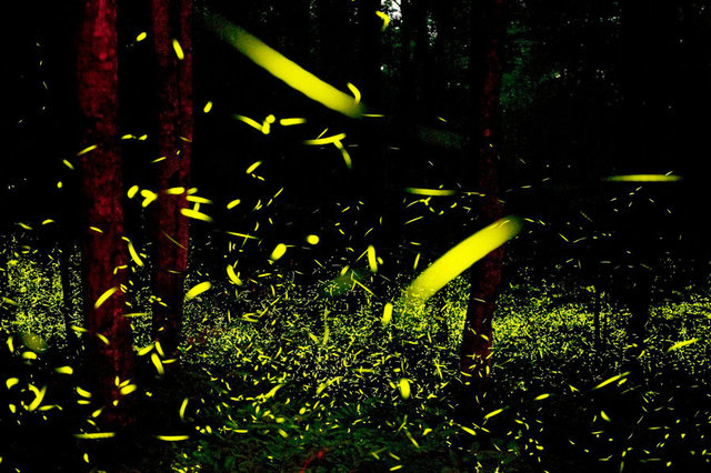 Godspeed #3 © Katrien Vermeire