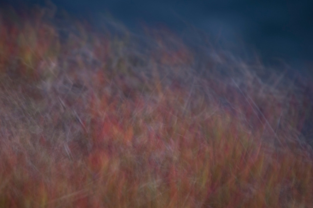 Loosening I.