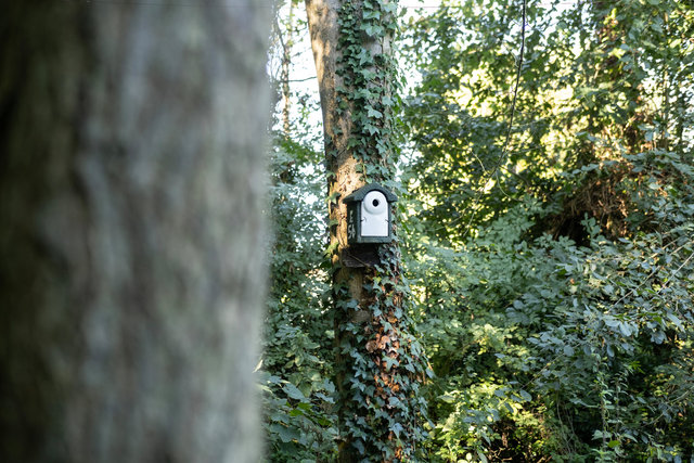 migration day 13 DSCF0051 copy.jpg