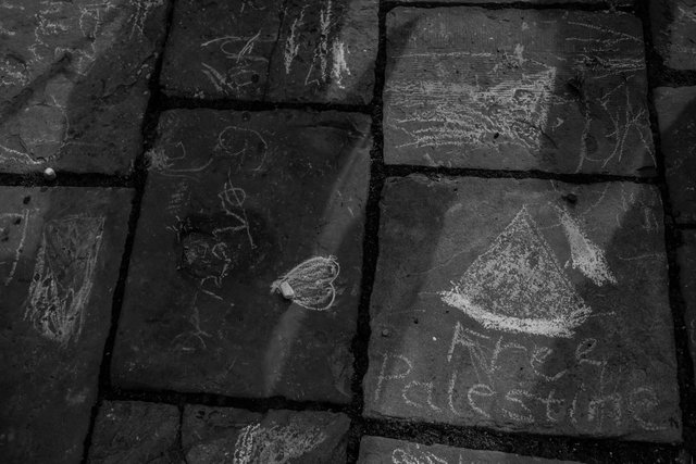 palestine march 9th march 63 DSCF6315.jpg