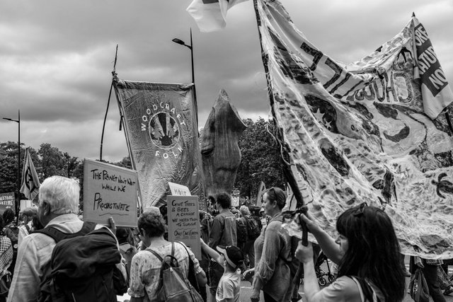 restore nature 43 DSCF9445.jpg