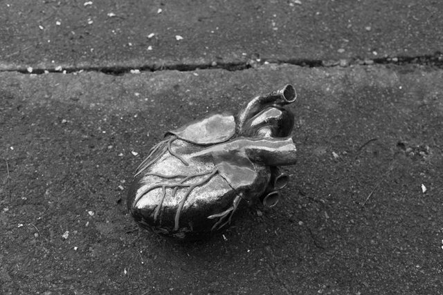 burgoyne 99 1O6A4115.jpg