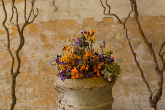 burgoyne 13 1O6A3781.jpg