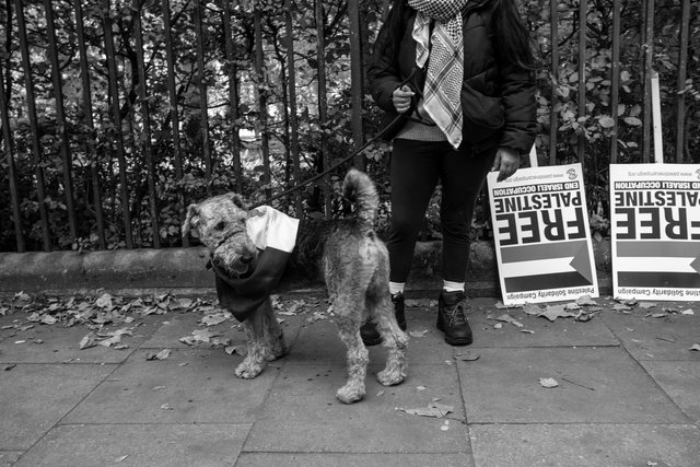 33 DSCF0301 copy.jpg