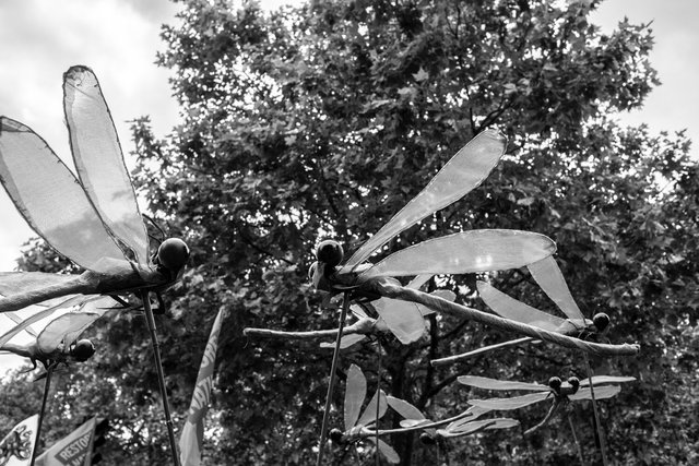 restore nature 36 DSCF9419.jpg