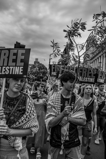 80 DSCF9696 copy.jpg