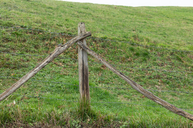 la vijanera sunday 14 IMG_9656.jpg