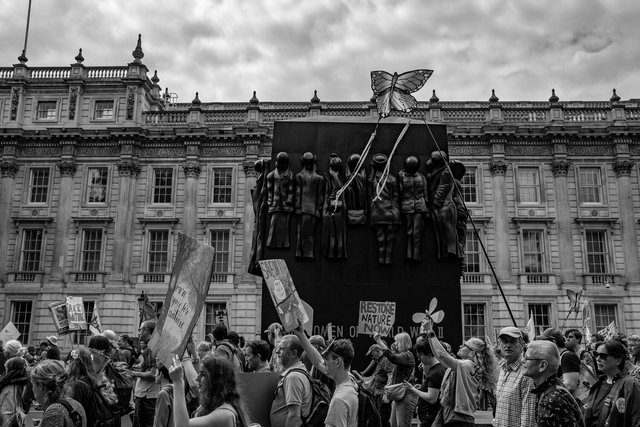 restore nature 94 DSCF9566.jpg