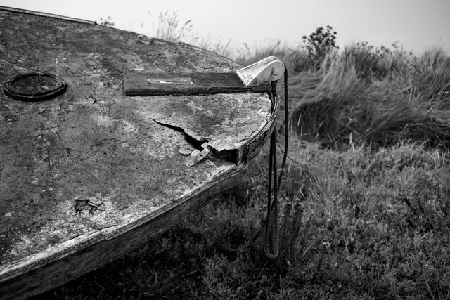 oare marshes 19.08.24 DSCF7849 copy.jpg
