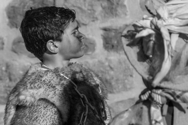 120 crop 1O6A5503.jpg