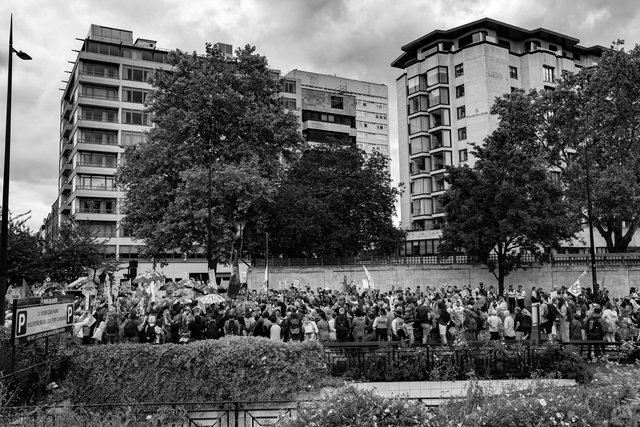 restore nature 17 DSCF9381.jpg