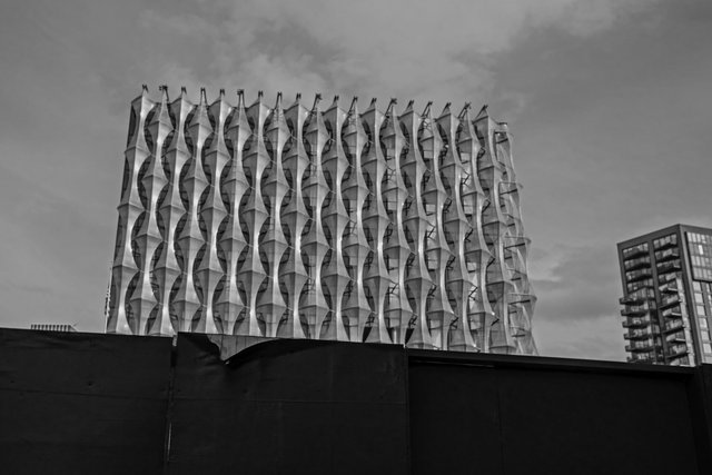 palestine march 9th march b&w 96 DSCF6417.jpg