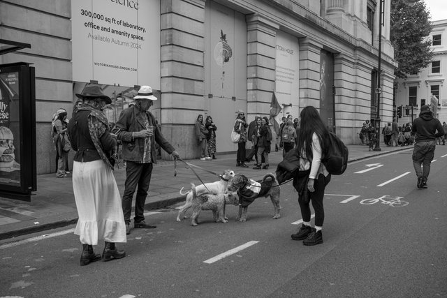 68 DSCF0439 copy.jpg