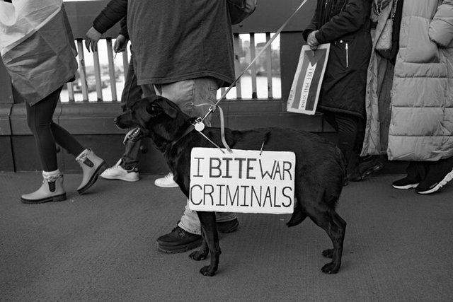 palestine 85 DSCF0834.jpg