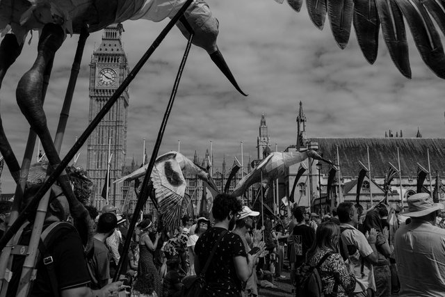 restore nature 143 DSCF9755.jpg