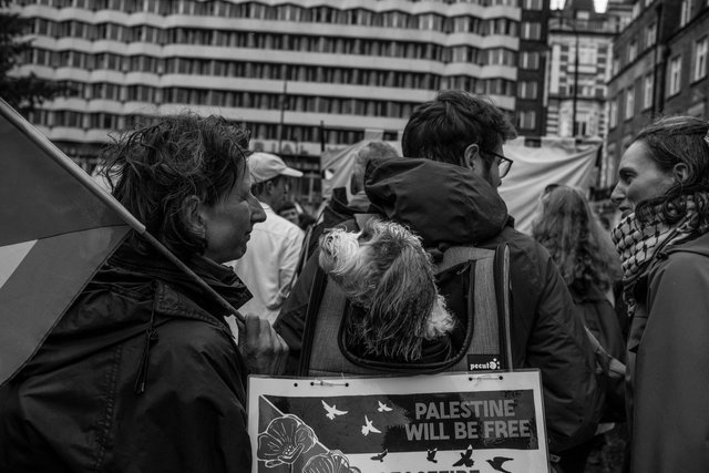 gaza 06.07.24 6 DSCF0041 copy.jpg