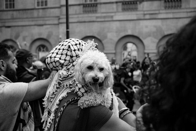 RSq March 2 - 197 DSCF9044.jpg