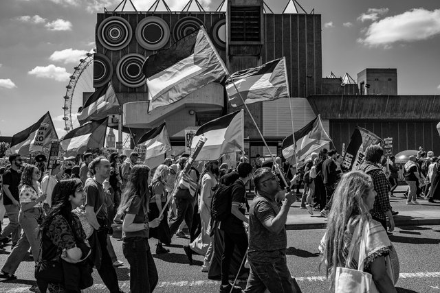 gaza nakbar 60 DSCF8775 copy.jpg