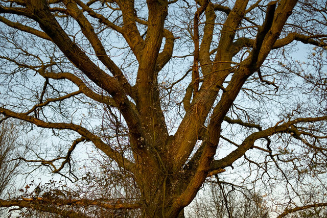 stodmarsh 3 DSCF3659.jpg