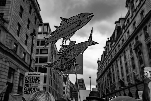 restore nature 76 DSCF9507.jpg