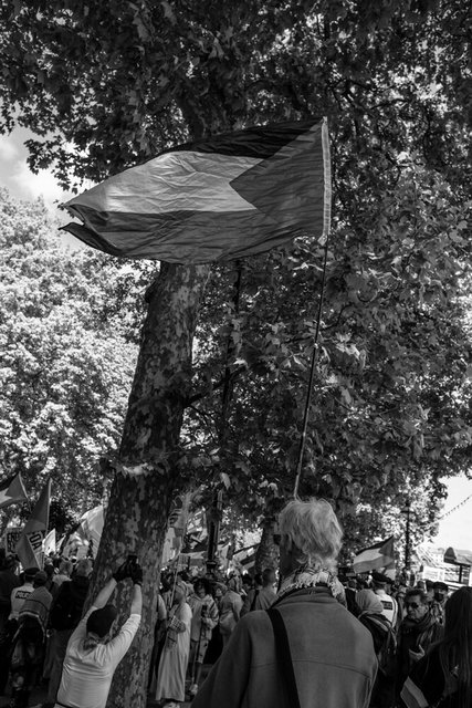 gaza nakbar 31 DSCF8590 copy.jpg