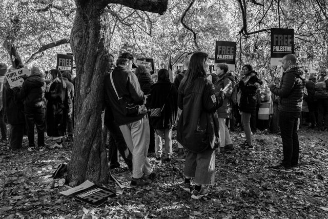 palestine 13 DSCF0621.jpg