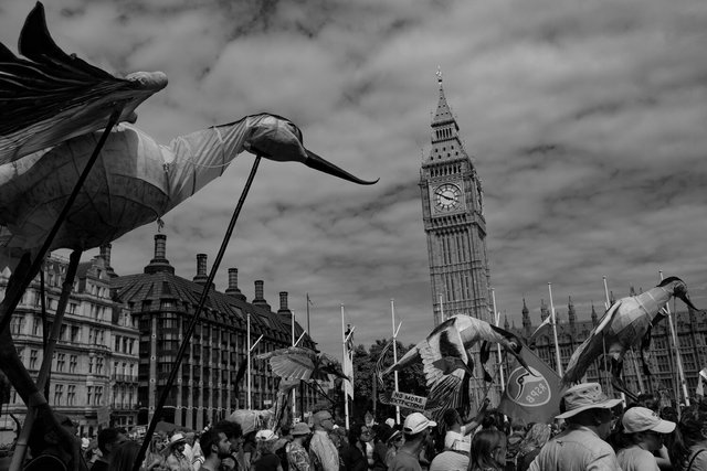 restore nature 142 DSCF9747.jpg