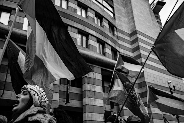 palestine 88 DSCF1170.jpg