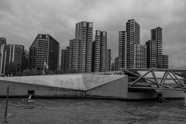 US Embassy 02.11.24 CARD 2 14 DSCF1291 copy.jpg