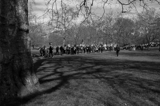 palestine march 9th march 2 DSCF6134.jpg