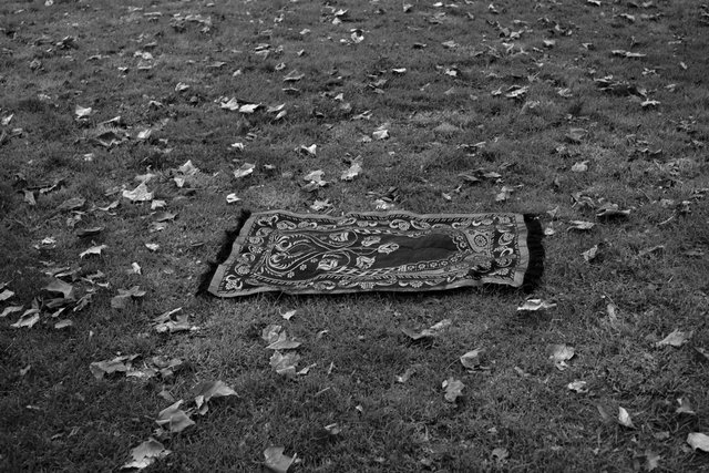 RSq March 2 - 44 DSCF8374.jpg