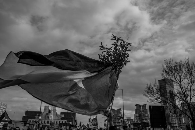 palestine march 9th march 67 DSCF6333.jpg