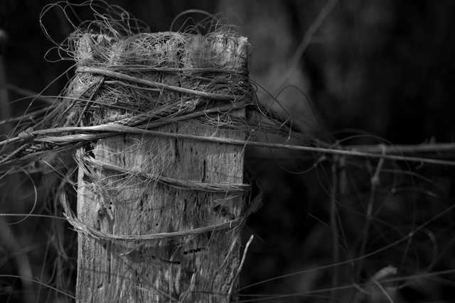 12x8 muno fence post 9 IMG_9025.jpg