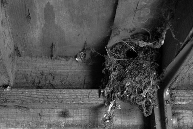 oare 7 crop DSCF2223.jpg