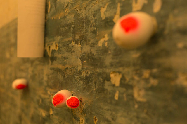 burgoyne 86 1O6A4072.jpg