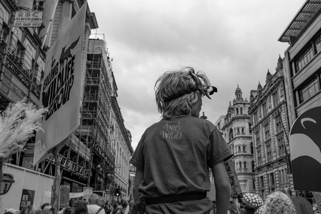 restore nature 84 DSCF9524.jpg