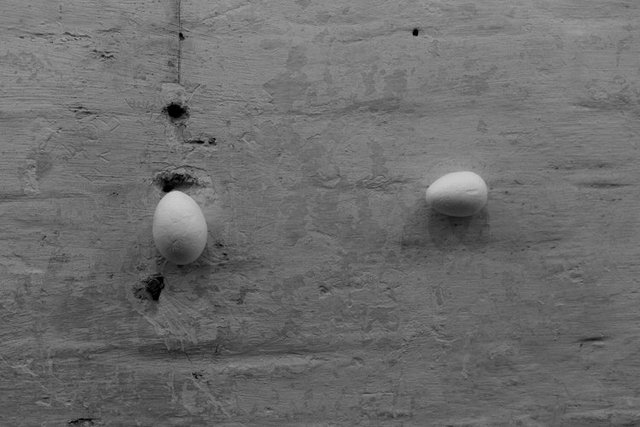 burgoyne 33 b&w 1O6A3871.jpg