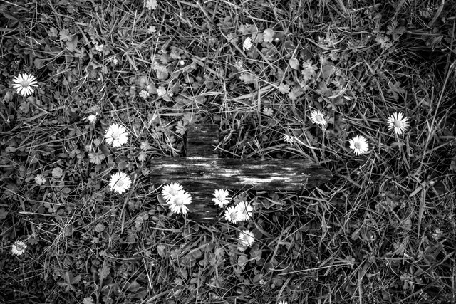 palestine march 13.04.24 53 DSCF6732.jpg