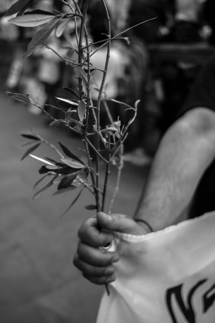 92 DSCF9728 copy.jpg