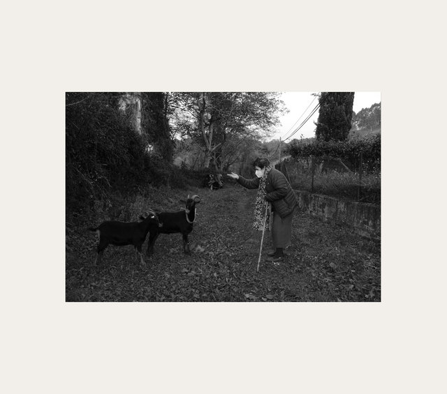 tia maluca goats.jpg