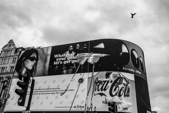 restore nature 89 DSCF9541.jpg