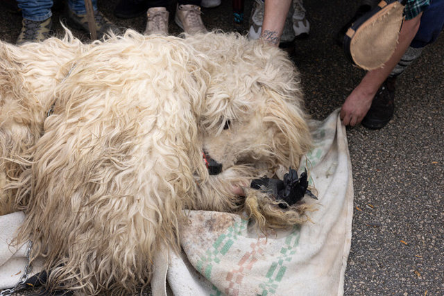 la vijanera sunday 94 IMG_0117.jpg