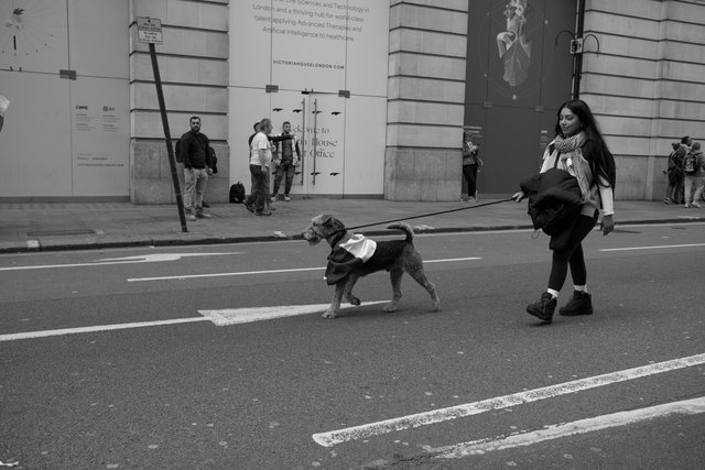 68 DSCF0434 copy.jpg