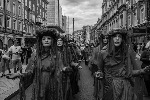 restore nature 81 DSCF9518.jpg