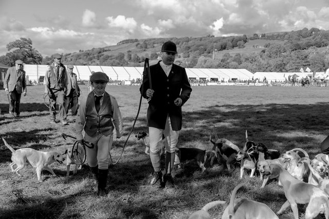 212 ps adjbr 1O6A9988.jpg