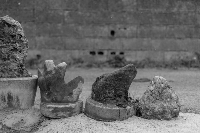 la vijanera sunday b&w 6 IMG_9642.jpg